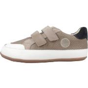 Tennarit Gioseppo  RIPTON  26