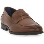 Kengät Fluchos  HABANA CAMEL  42