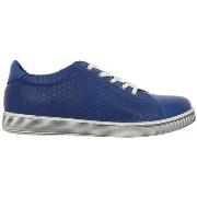 Kengät Andrea Conti  11702 Andrea Bleu  37