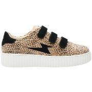 Kengät Vanessa Wu  Baskets  37