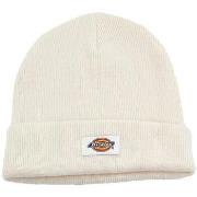 Lippalakit Dickies  GIBSLAND BEANIE  Yksi Koko