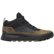 Kengät Timberland  Field Trekker LOW LACE UP  40