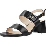 Sandaalit NeroGiardini  E410241D  37