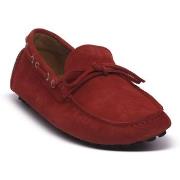 Kengät Antica Cuoieria  CORTINA COFFEE  42