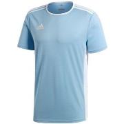 Lyhythihainen t-paita adidas  Entrada 18  EU S