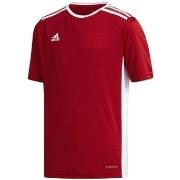 Lyhythihainen t-paita adidas  JR Entrada 18  EU XXS