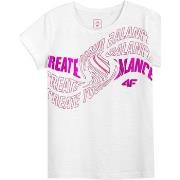 Lyhythihainen t-paita 4F  JTSD001  Yksi Koko