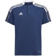 Lyhythihainen t-paita adidas  Tiro 21 Polo  EU S