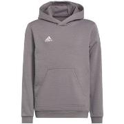 Svetari adidas  Entrada 22 Hoody  EU S