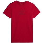 Lyhythihainen t-paita 4F  H4L22TSM01661S  EU XXL