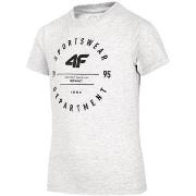 Lyhythihainen t-paita 4F  JTSM003  Yksi Koko