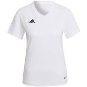 Lyhythihainen t-paita adidas  Entrada 22 Tee W  EU S