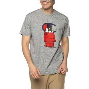 Lyhythihainen t-paita Champion  X Peanuts  EU S