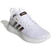 Kengät adidas  Puremotion  36