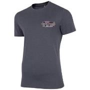 Lyhythihainen t-paita 4F  TSM030  EU XXL