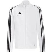 Svetari adidas  Tiro 23 League Training JR  EU M