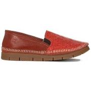 Kengät Maciejka  3512W15005  39