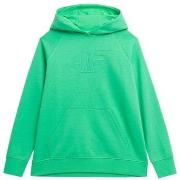 Svetari 4F  SS23TSWSF53541S  EU XXL