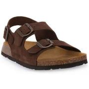 Sandaalit Grunland  Marrone 40BOBO  41