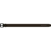 Vyöt Vans  VN000F023N11  Yksi Koko