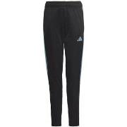 Housut adidas  Tiro 23 Club Training  EU S