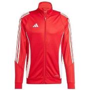 Svetari adidas  Tiro 24 Training  EU XXL