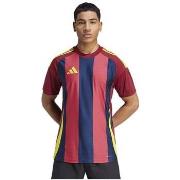 Lyhythihainen t-paita adidas  Striped 24 Jsy  EU XXL