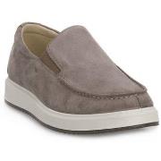 Kengät IgI&CO  Santiago Peltro  42