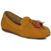 Kengät Maciejka  0449407005  37