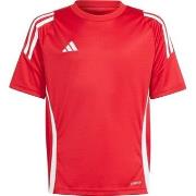 Lyhythihainen t-paita adidas  IS1030  EU S