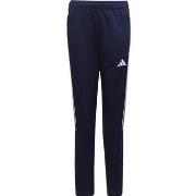 Housut adidas  Tiro 23 Club Training  EU S