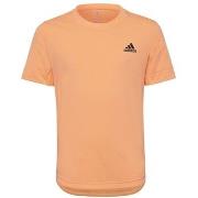 Lyhythihainen t-paita adidas  HN0094  EU S