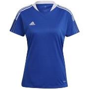 Lyhythihainen t-paita adidas  Tiro 21 Trikot  EU S