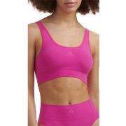 Lyhythihainen t-paita adidas  Bralette  EU L