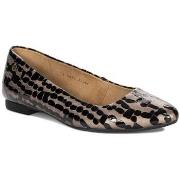 Balleriinat Maciejka  0087363005  36