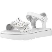 Tyttöjen sandaalit Asso  AG17261  30