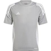 Lyhythihainen t-paita adidas  IS1031  EU S