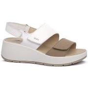 Sandaalit IgI&CO  Marmotta Carola  37