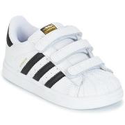 Lastenkengät adidas  SUPERSTAR CF I  21