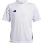 Lyhythihainen t-paita adidas  JJ1154  EU S