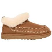 Pipot UGG  -  37