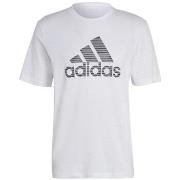 Lyhythihainen t-paita adidas  Essentials Summer  EU XL