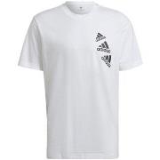 Lyhythihainen t-paita adidas  M Q4 Bl T  EU S