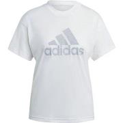 Lyhythihainen t-paita adidas  IC0460  EU S