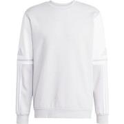 Svetari adidas  Squadra 25  EU XXL