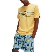 Lyhythihainen t-paita Ellesse  SHV11918  EU S