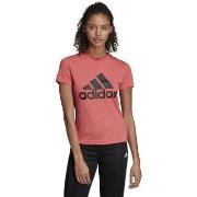 Lyhythihainen t-paita adidas  Must Haves Badge OF Sport  EU S