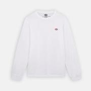 T-paidat pitkillä hihoilla Dickies  LS MAPLETON  EU XL