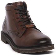 Kengät Bugatti  BUGATTI SHOES 6361 COGNAC  42