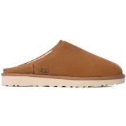 Kengät UGG  Classic  43